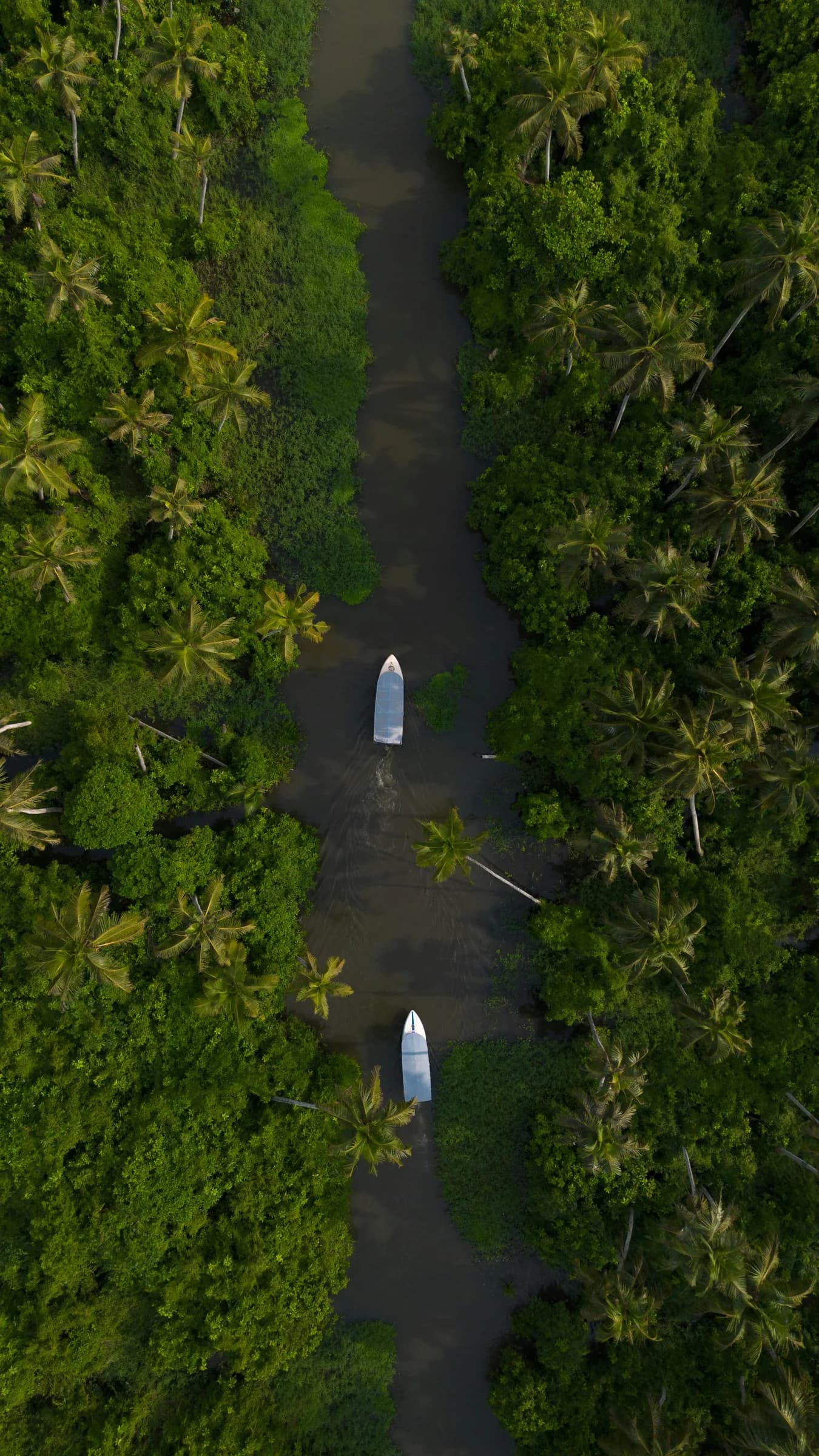 KERELA – photo