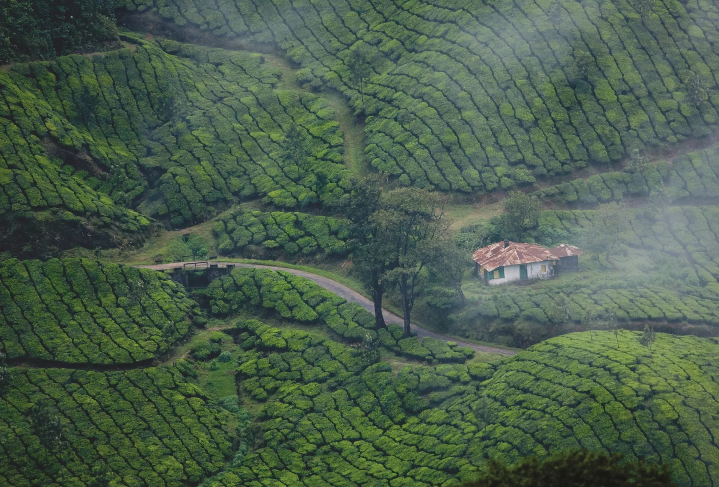 KERELA – cover photo
