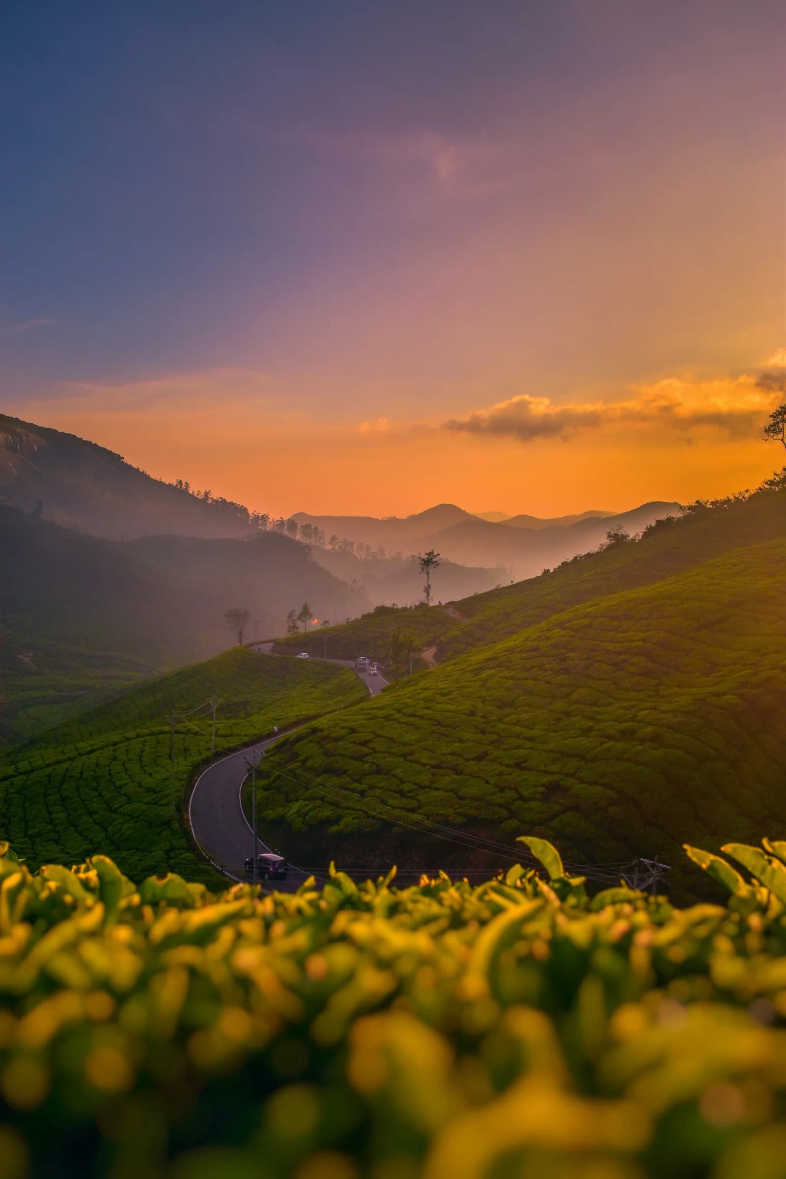 KERELA – photo