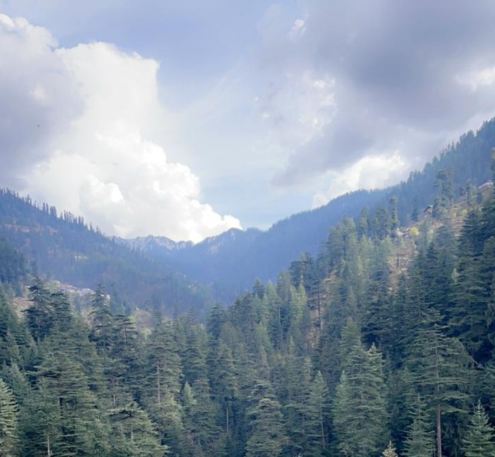 Jibhi